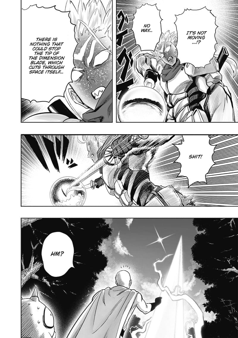 One Punch Man - Chapter 209 image 10